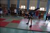 DSC04384